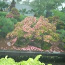 재즈마을리조트 이미지