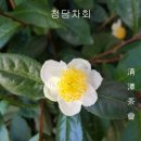 고전문화청담점
