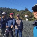 8월 2일 토요산행 Arataki Visitor Centre, Beveridge &amp; Slip Tracks 이미지
