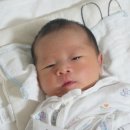 닥터마레산부인과 네이버블로그