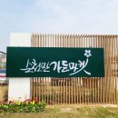 나무가든마켓