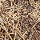 자연과 콩 이미지