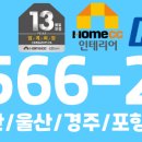 보우근화 이미지
