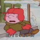 파라다이스스튜디오