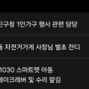 서부초등학교 사거리 이미지