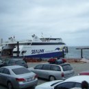 아드레이 이미지