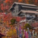 니지모리스튜디오