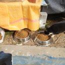 호두마을회관 이미지