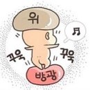 시니롱