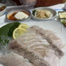 호남수산 | 광주 서구 쌍촌동 회 맛집 호남수산 내돈내산 방문후기(광어 우럭 세트)
