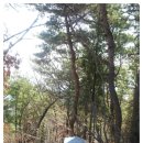 금오산(효자봉)_숲길(등산)1코스 이미지