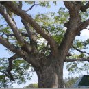 현암리 경로당 이미지