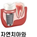 솔빛치과 이미지