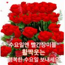 소은 이미지