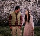 너는내운명 이미지