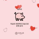 (주)스타사주