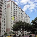 충청대로1 Daum카페