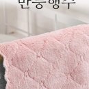 청결지키미 네이버블로그