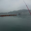 김선장낚시터 이미지