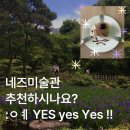 골든 | 도쿄 네즈미술관 카페 예약 입장료 붓꽃 골든위크 후기