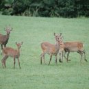 축산마을농장 이미지