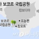 황금자원