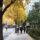 가봉루 | 경제협력개발기구(OECD) 인사 초청 채용정보 간담회 참석 후기