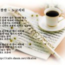 노고지리 Daum카페