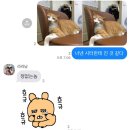 양실로(남) | 불꽃놀이 하나만 보려고 출국한 후기