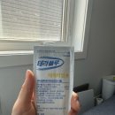 Holly Molly 이미지