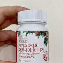 초모 이미지