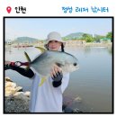 중해레저낚시터 | [인천 영종도] 정성레저낚시터 2차 방문기｜서울 근교 바다낚시 (조과, 방류시간, 후기, 꿀팁,내돈내산)