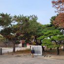 성림초등학교 | 유네스코 세계 문화유산 : 창덕궁 해설사 투어 (by 성림초등학교 고준)