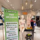 쌍방울 이미지