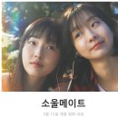 최신 한국 영화 소울메이트 리뷰 후기 정보 * 애증의 우정사 (각색 거의 없는 리메이크, 추천은..)