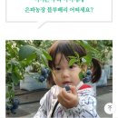 은파농장 | 은파농장 블루베리 안토시아닌이 풍부한 꽃모양 블루베리! 맛과 정성에 감동과 감사를 전합니다