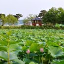 하리공원 앞 이미지