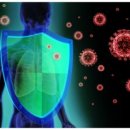 리미티드 짐 이미지