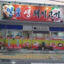 일품생돼지고기