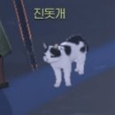 CAT 네이버블로그