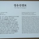 정유선생묘 이미지