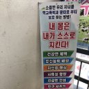 용인대 한신 태권도 이미지