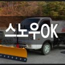빅포유 이미지