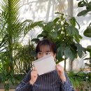 로데아트센터 체임버홀 | [하객후기] 라움아트센터 체임버홀 5월 예식 하객 후기 | 더라움 위치·주차·가는 법, 라움아트센터...