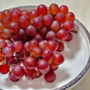 유리알 같은 델라웨어 포도 맛 후기 및 보관 방법 궁금하시죠?