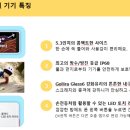 리틀꾸러기