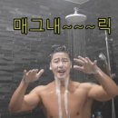 돌담위에흑돼지 이미지