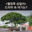 삼달2리경로당 | 웰컴투 삼달리 촬영지_삼달이 쓰레기 속에 숨는 개삼...쉼터_일과2리경로당 앞 퐁낭쉼터_서귀포시 대정읍
