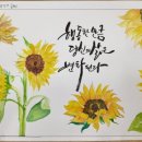 캘리그라피 (저녁반) (취미&자격증) 이미지