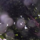 중동동물병원 이미지